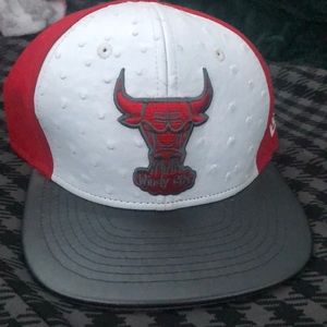 Bulls hat